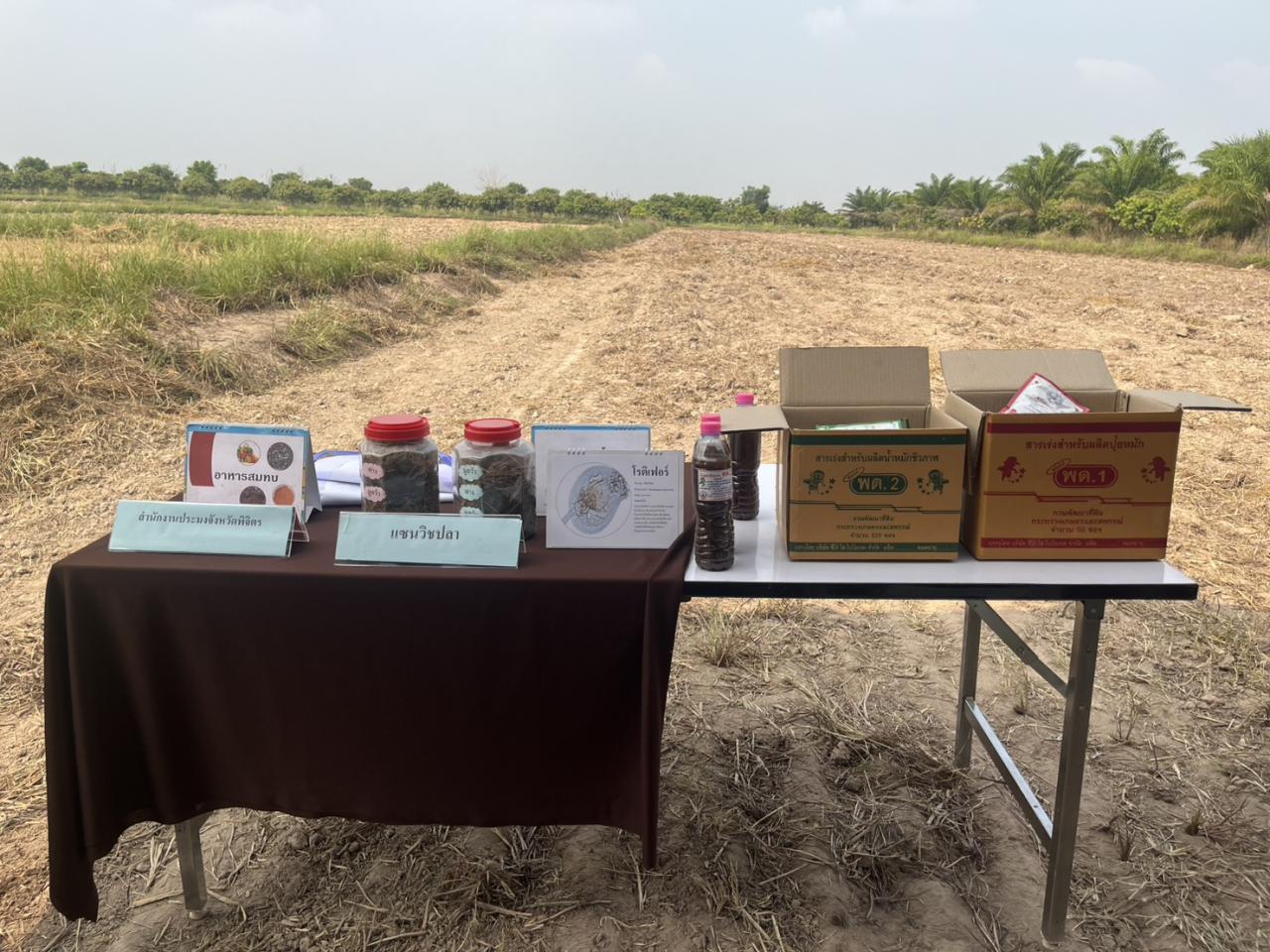 ภาพประกอบที่ 7