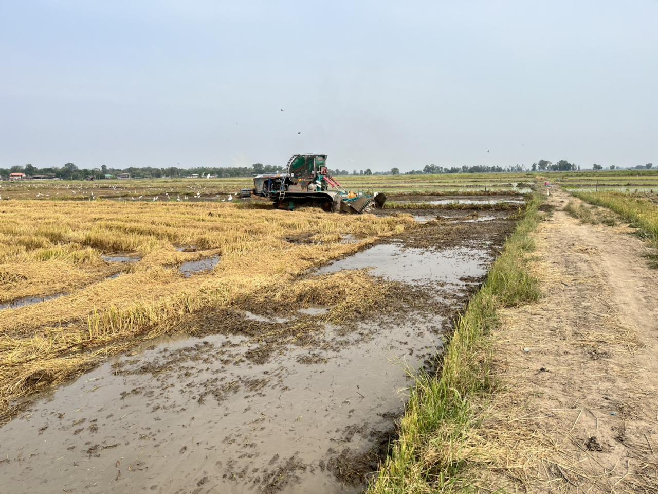 ภาพประกอบที่ 8