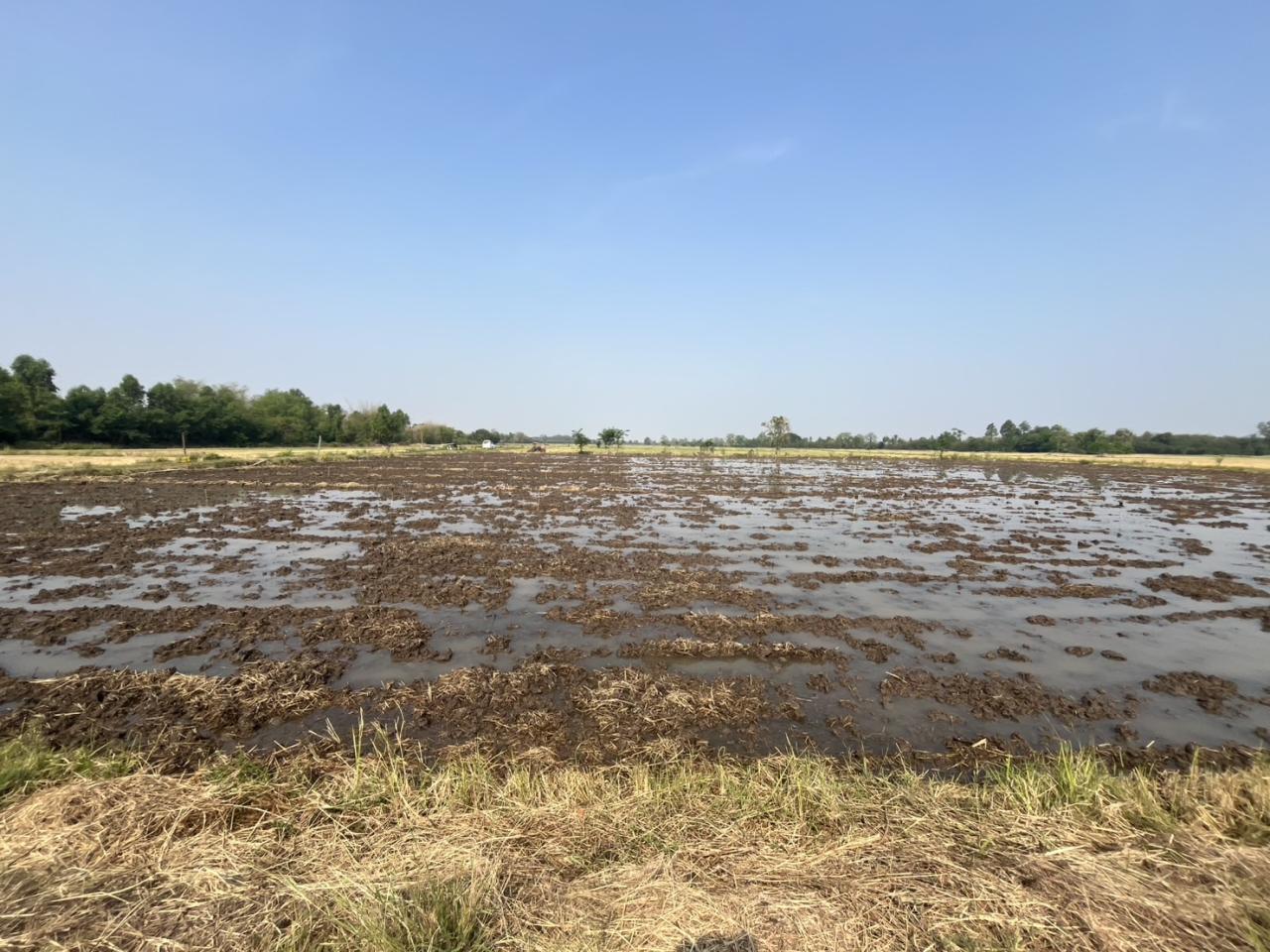 ภาพประกอบที่ 10