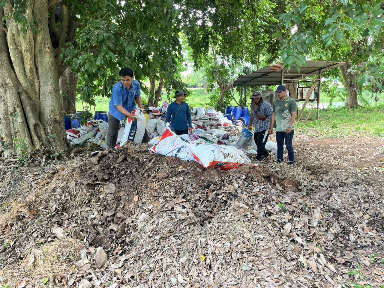 ภาพประกอบที่ 2