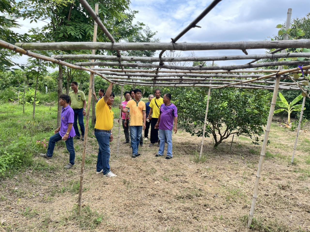 ภาพประกอบที่ 3