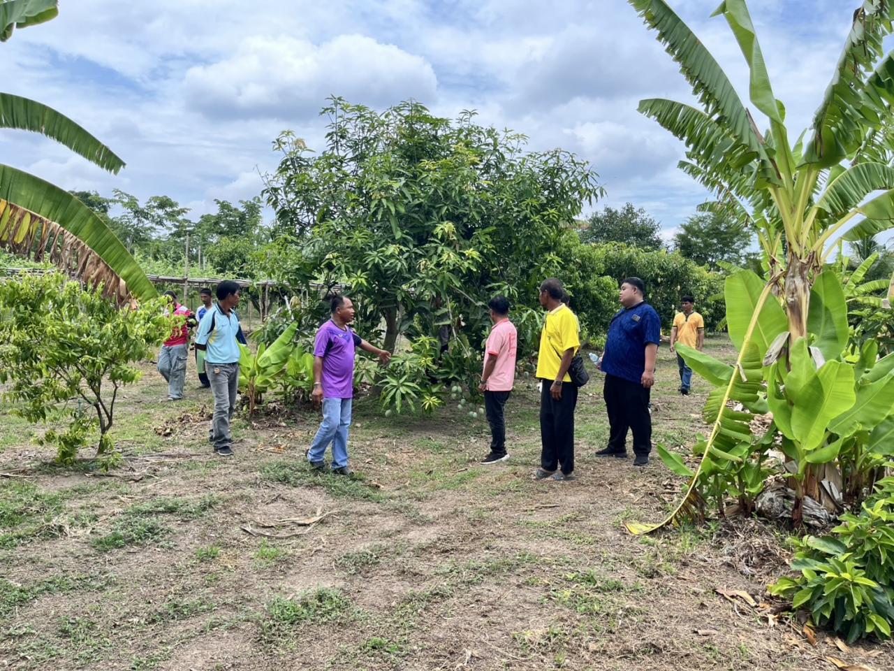 ภาพประกอบที่ 2