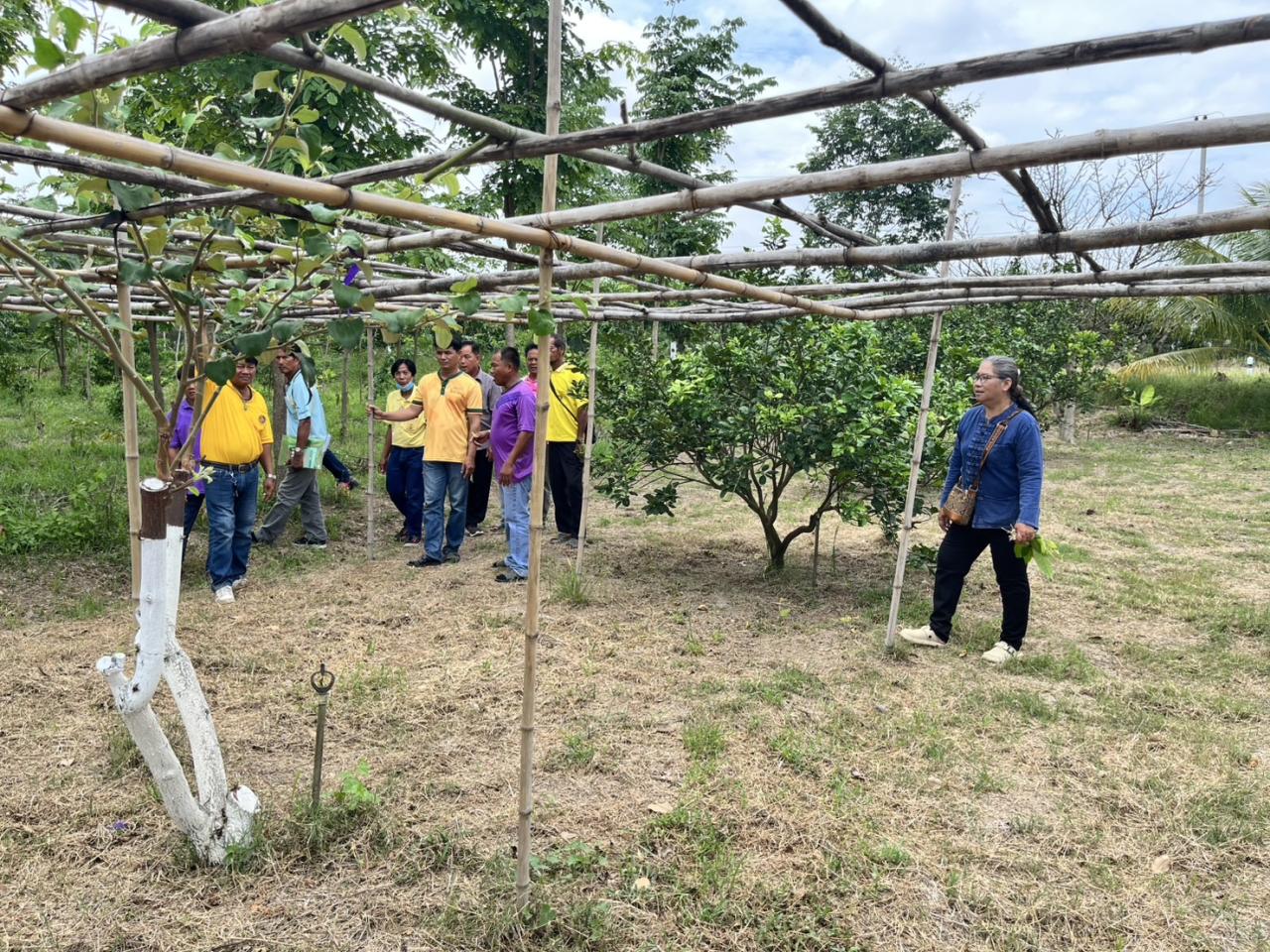 ภาพประกอบที่ 1
