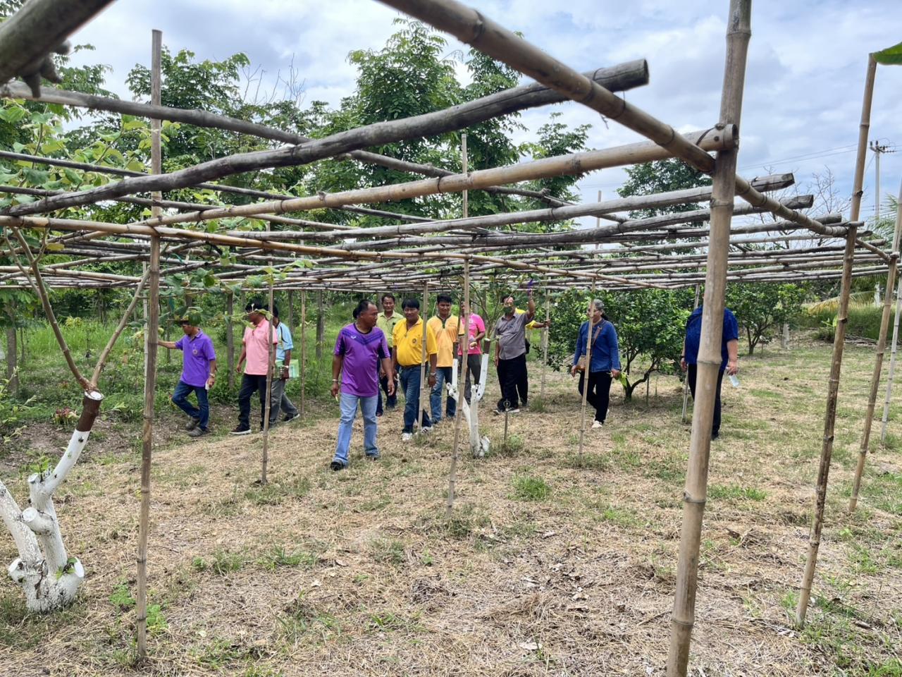 ภาพประกอบที่ 0