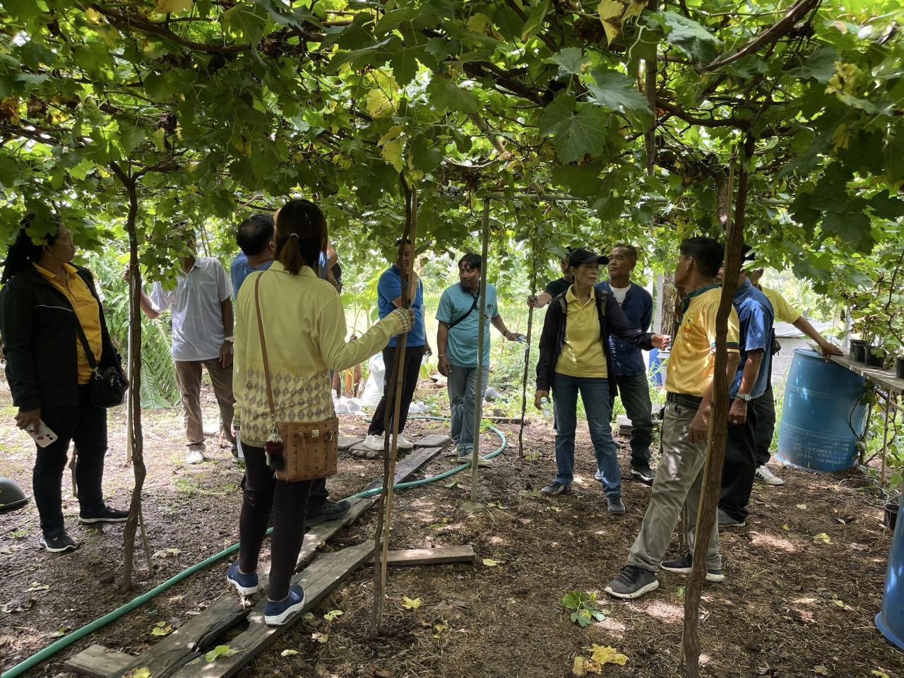 ภาพประกอบที่ 1