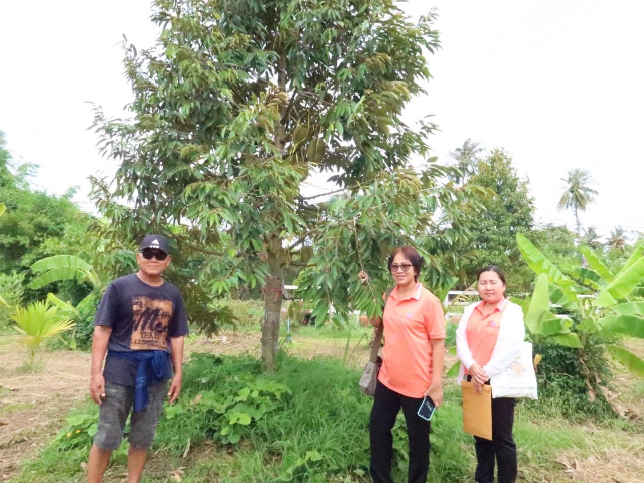 ภาพประกอบที่ 7