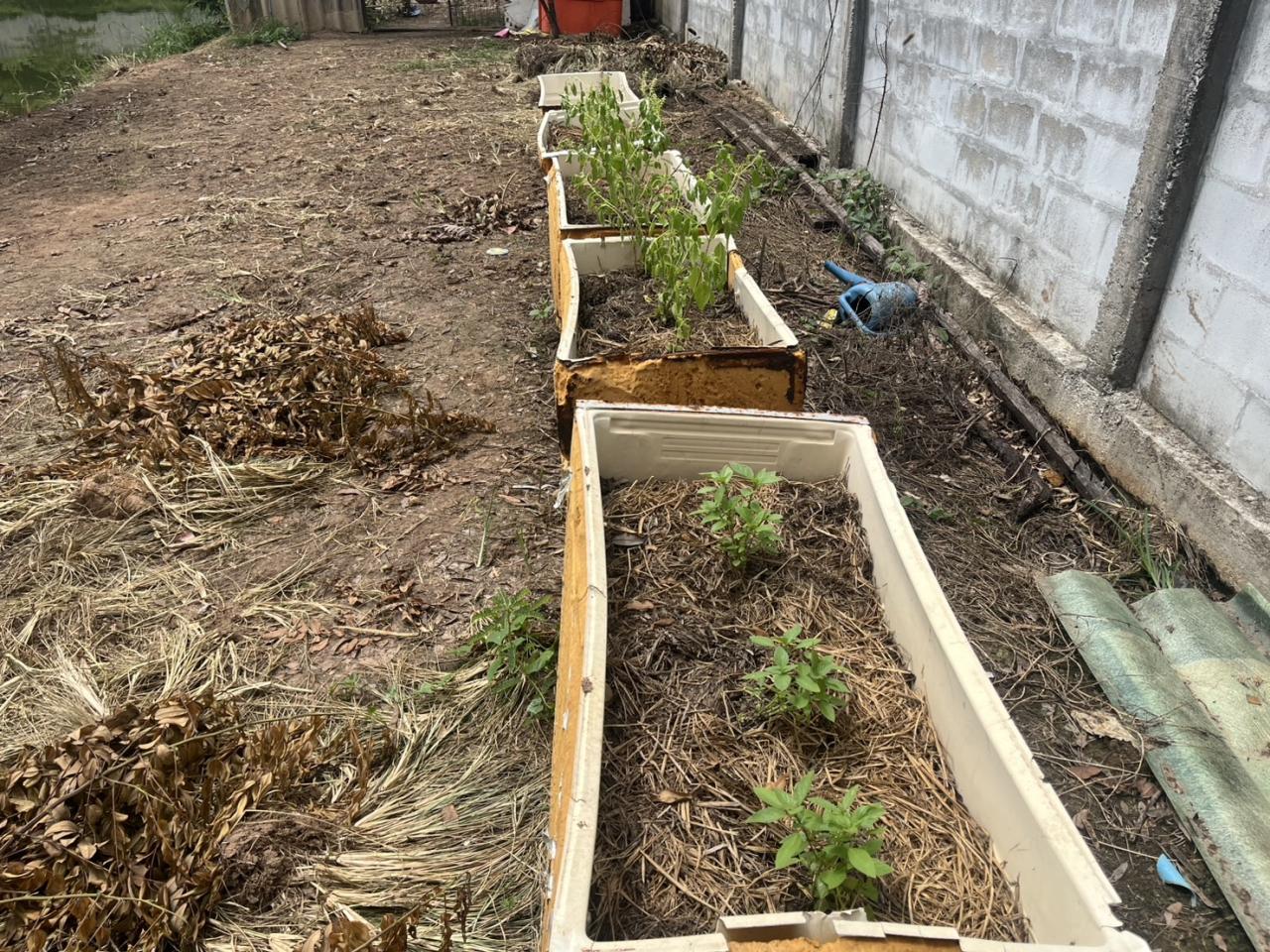 ภาพประกอบที่ 10