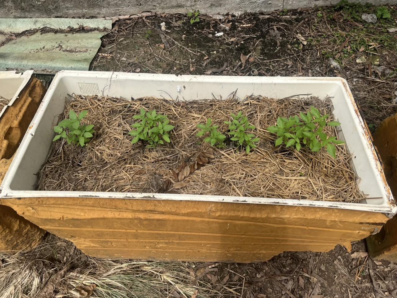 ภาพประกอบที่ 9