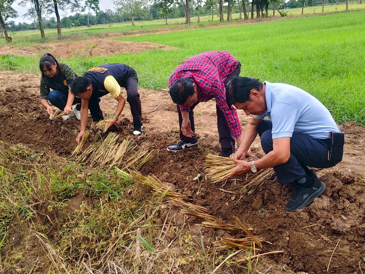 ภาพประกอบที่ 10