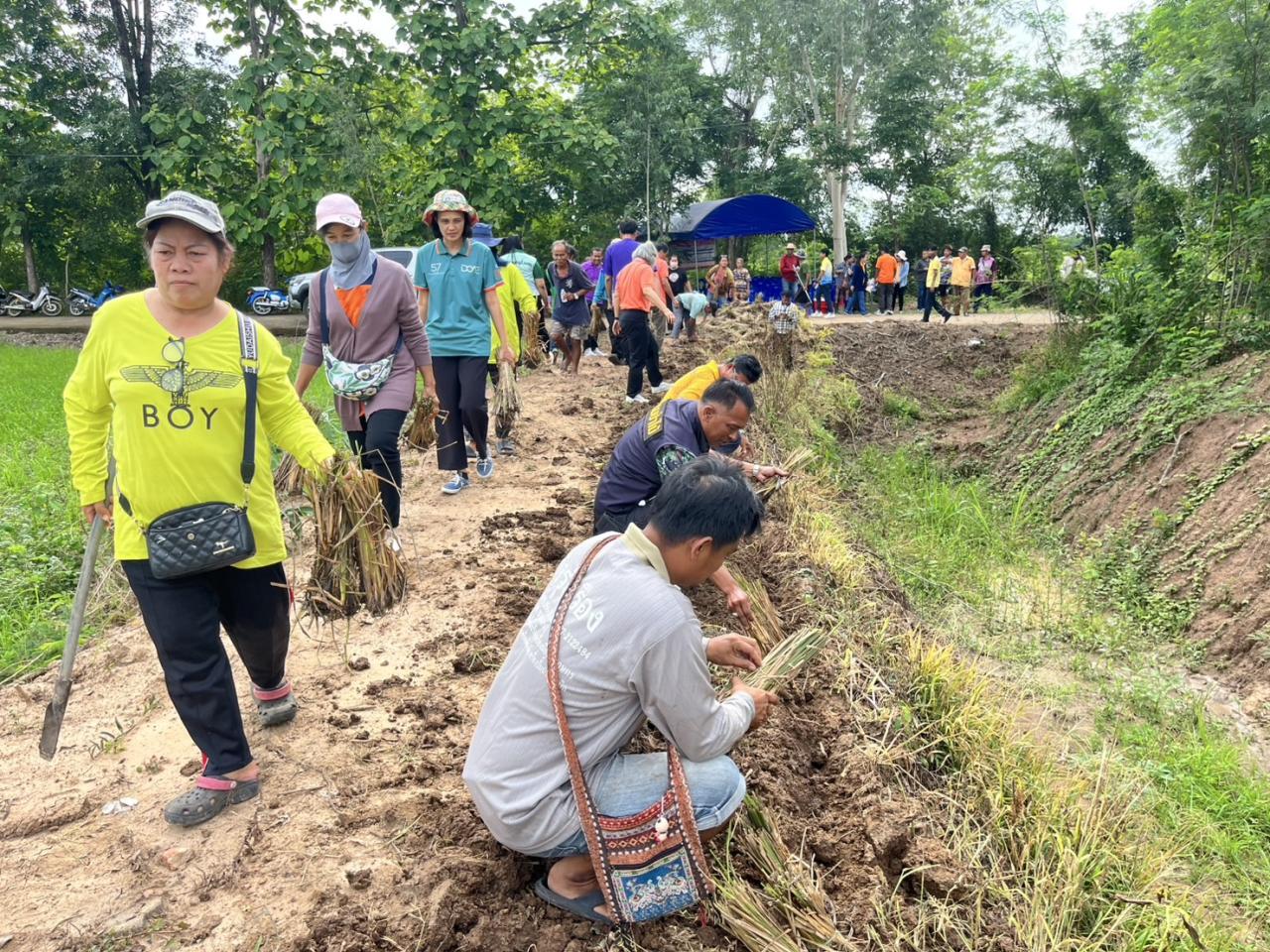 ภาพประกอบที่ 8