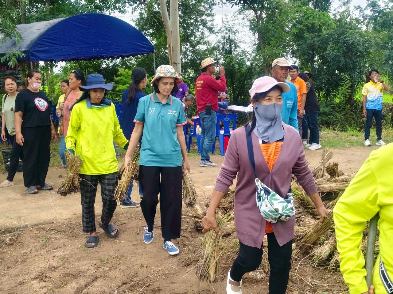 ภาพประกอบที่ 5