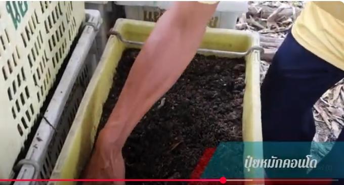 ภาพประกอบที่ 11