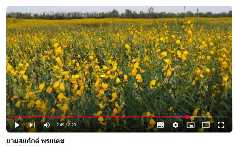 ภาพประกอบที่ 10