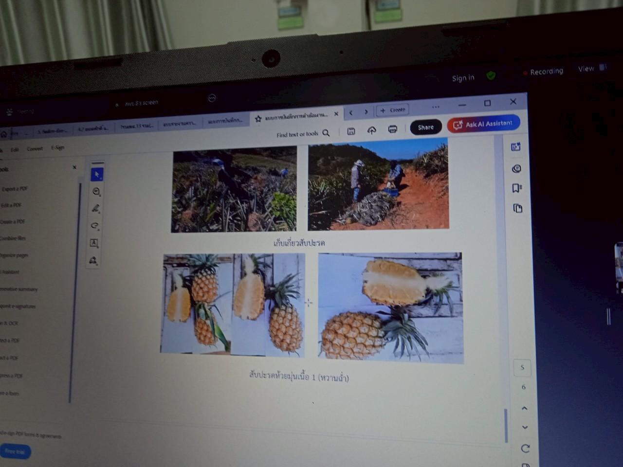 ภาพประกอบที่ 5