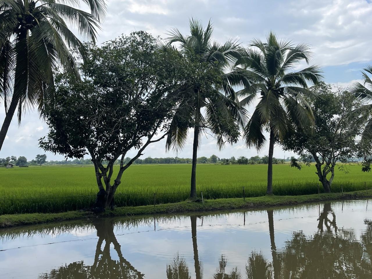 ภาพประกอบที่ 7