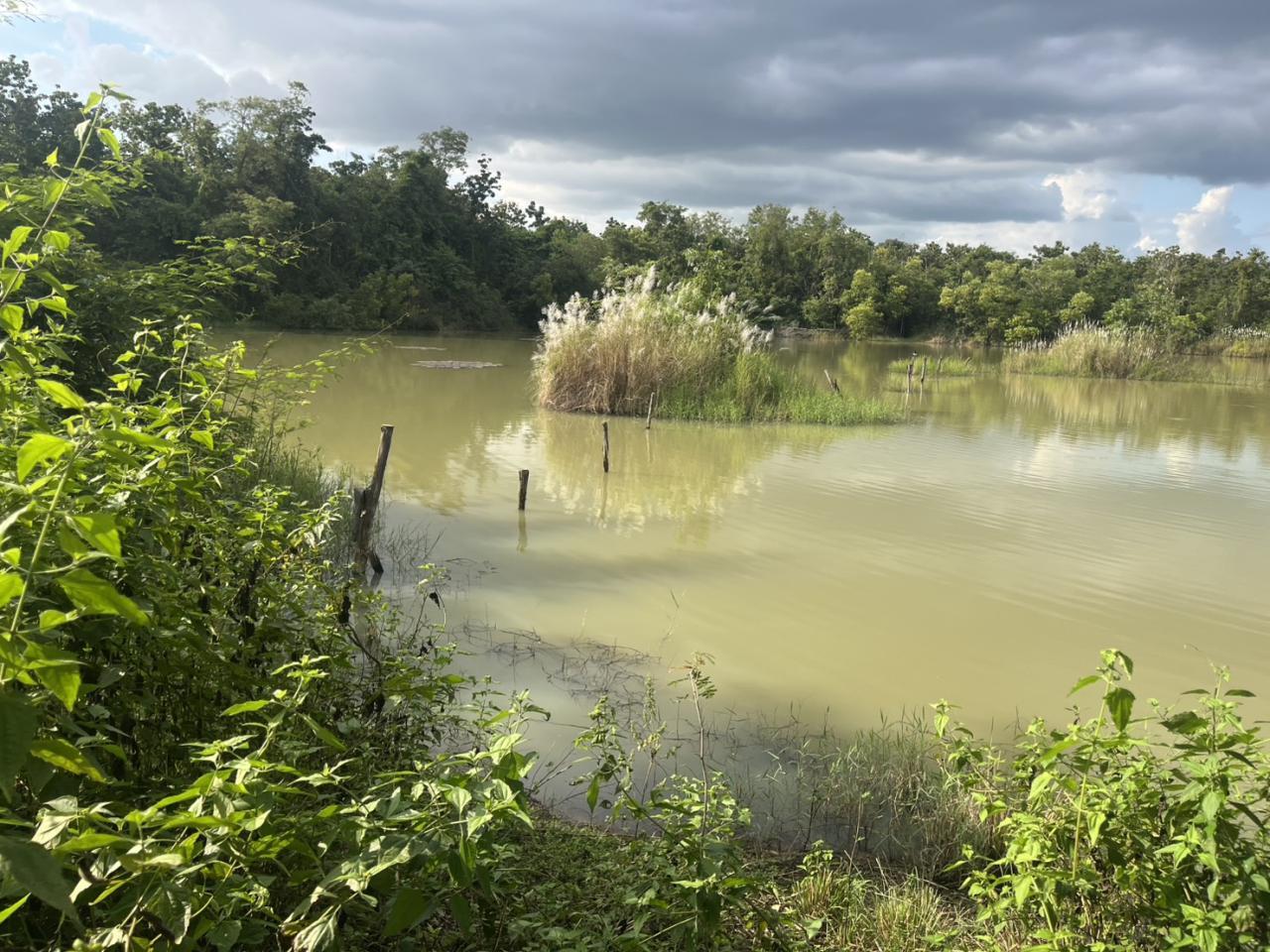 ภาพประกอบที่ 7