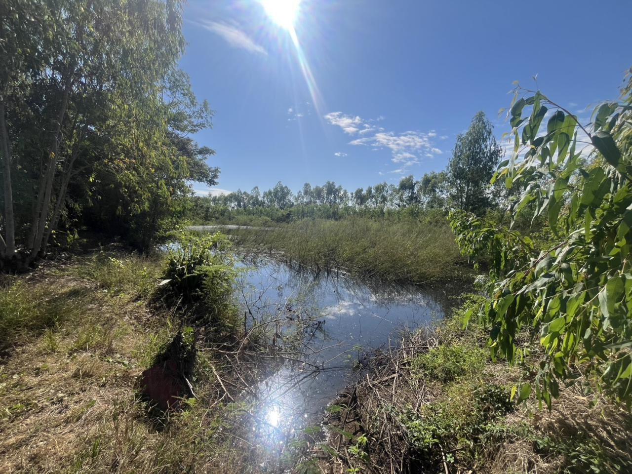 ภาพประกอบที่ 7