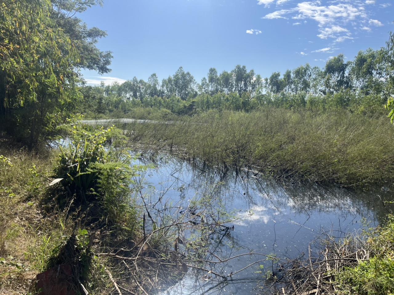 ภาพประกอบที่ 6