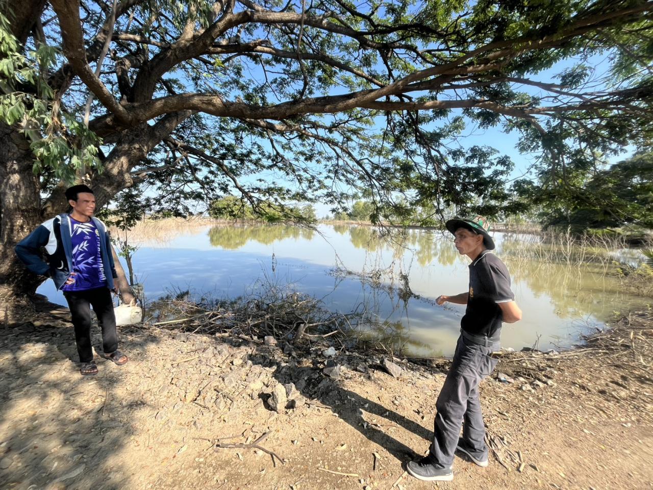 ภาพประกอบที่ 1