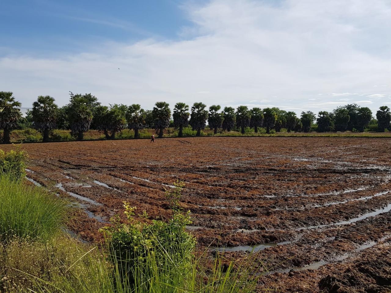 ภาพประกอบที่ 7