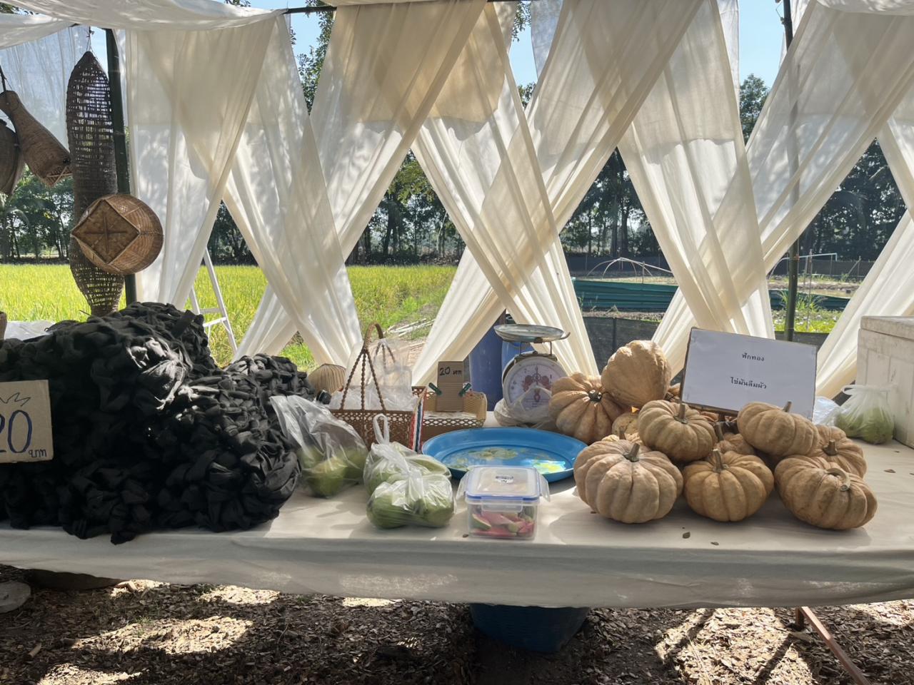 ภาพประกอบที่ 9