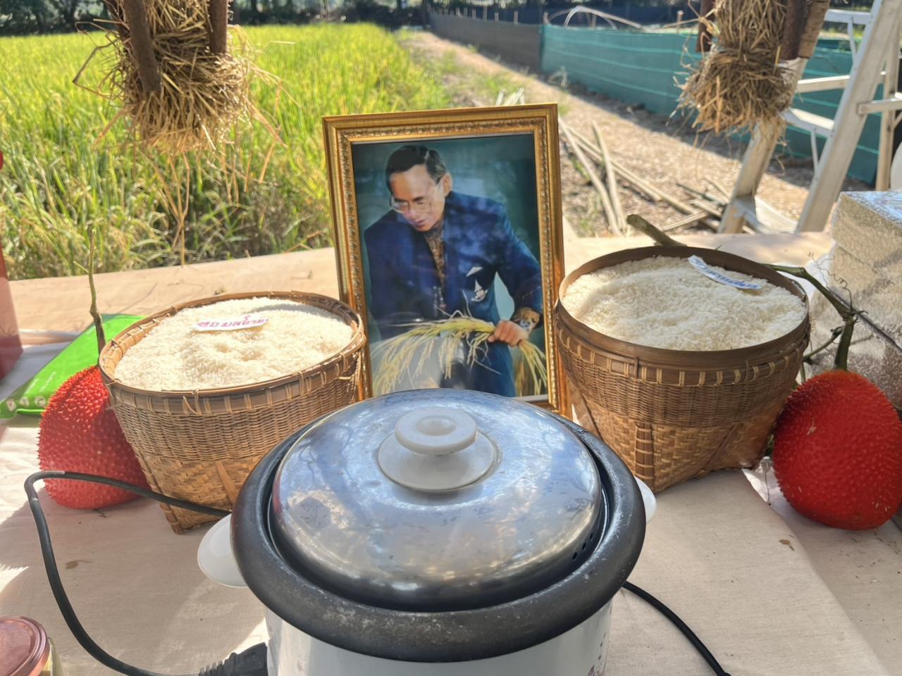 ภาพประกอบที่ 3