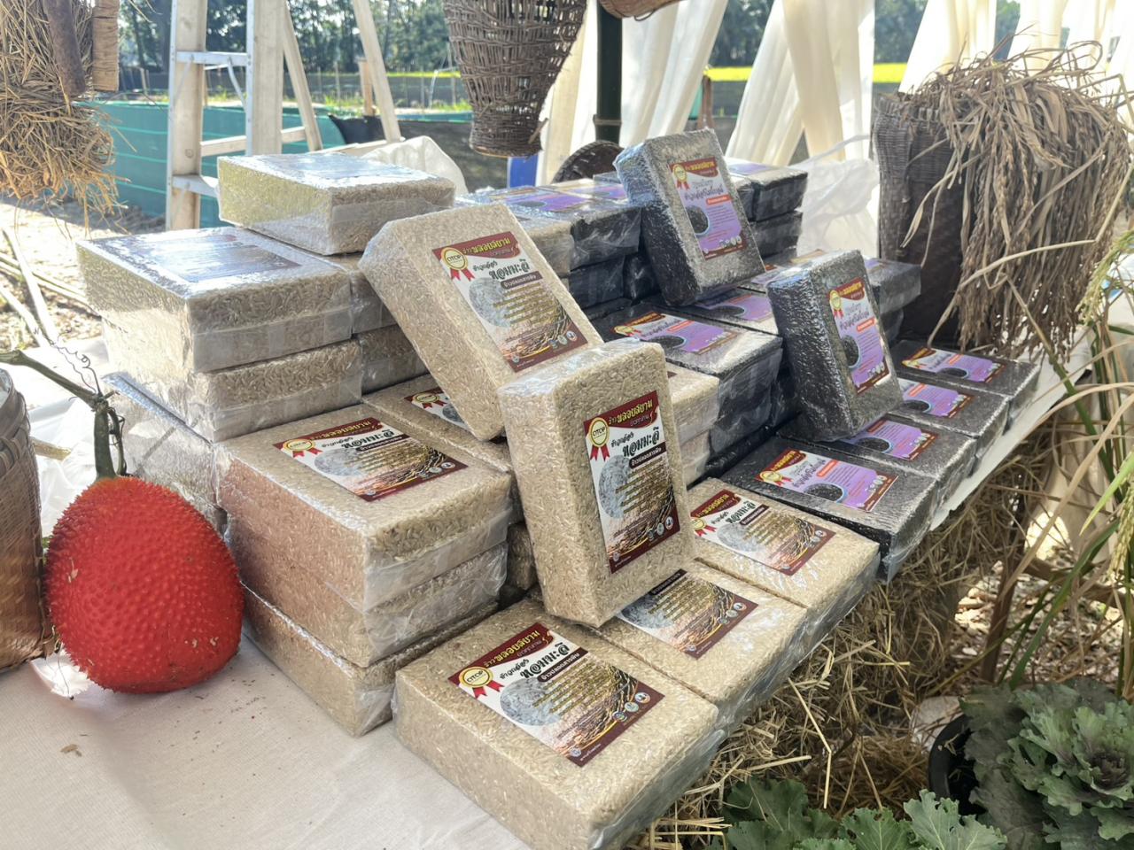 ภาพประกอบที่ 2