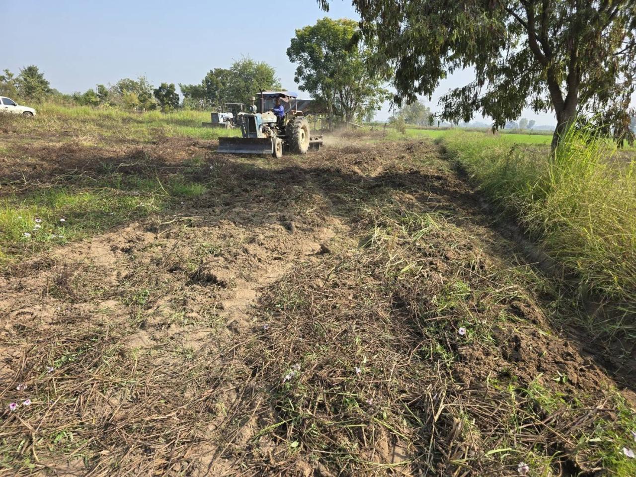 ภาพประกอบที่ 5