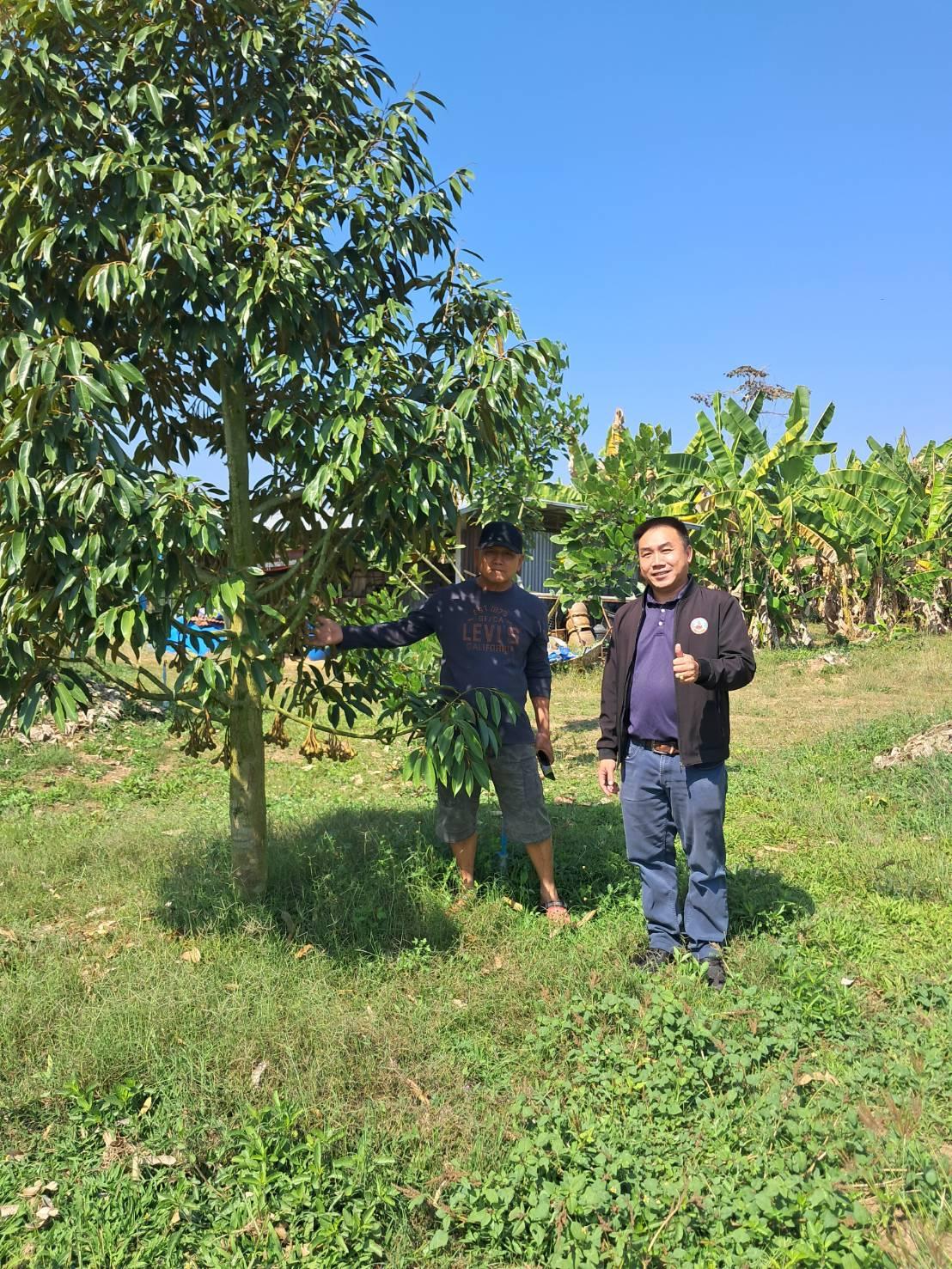 ภาพประกอบที่ 5
