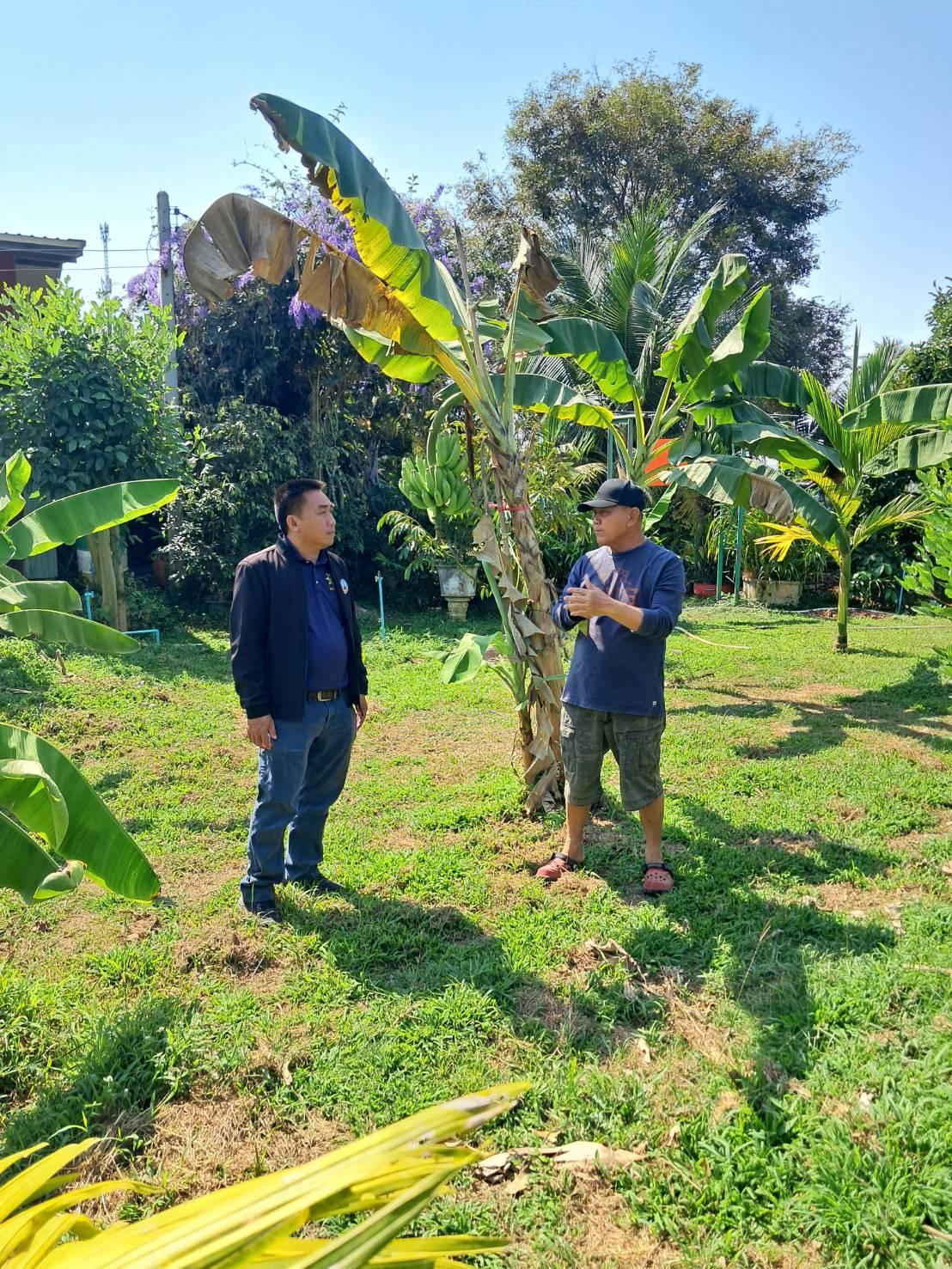 ภาพประกอบที่ 6