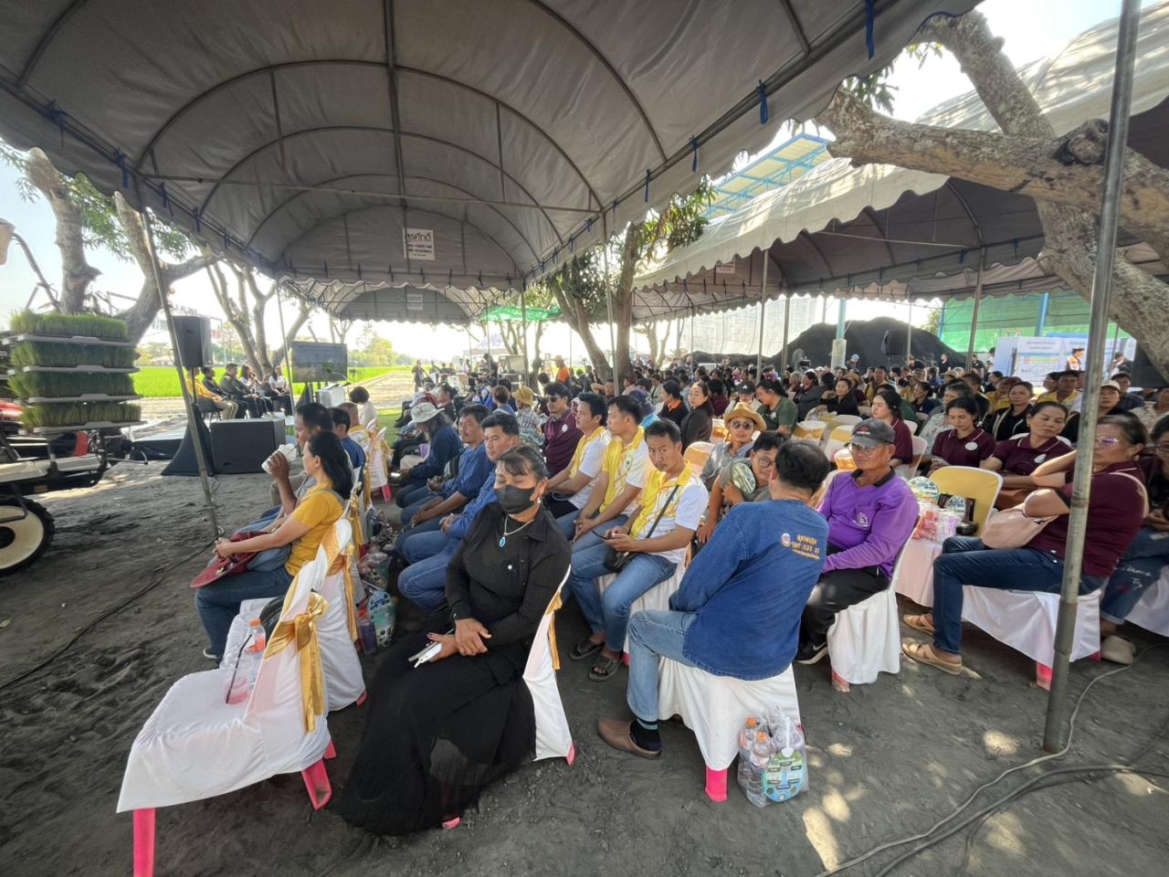 ภาพประกอบที่ 5