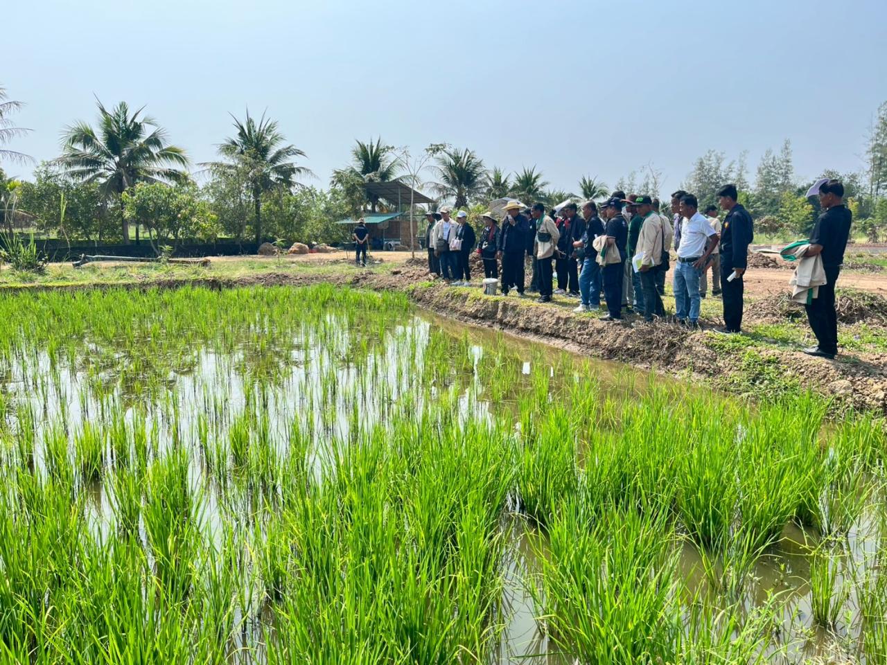 ภาพประกอบที่ 8
