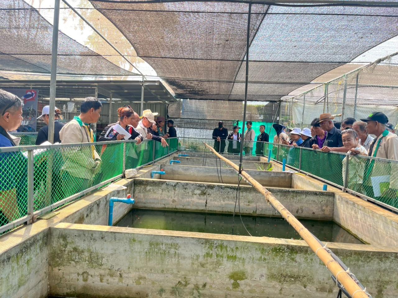 ภาพประกอบที่ 4