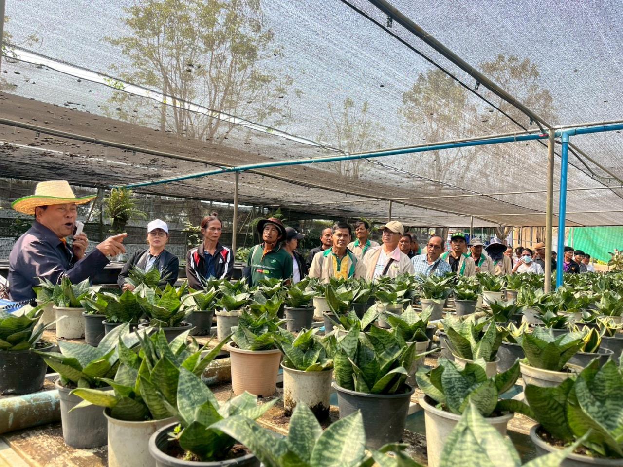 ภาพประกอบที่ 3