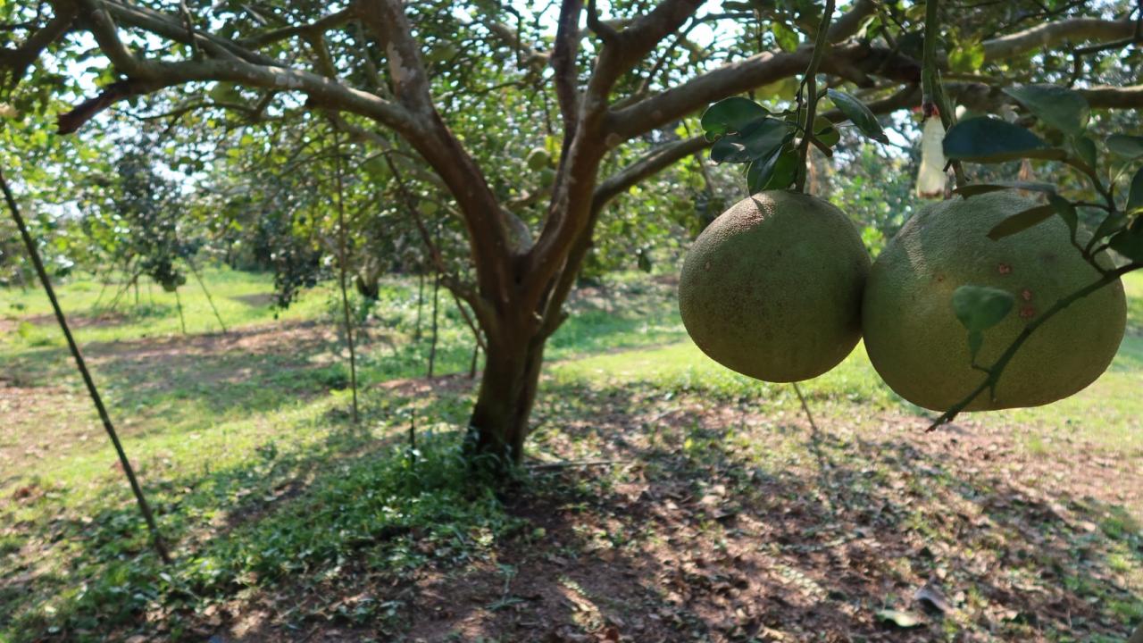 ภาพประกอบที่ 10