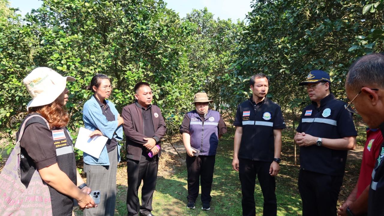 ภาพประกอบที่ 9