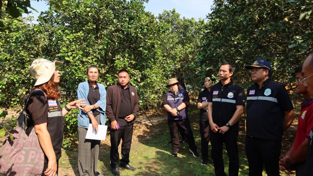 ภาพประกอบที่ 8