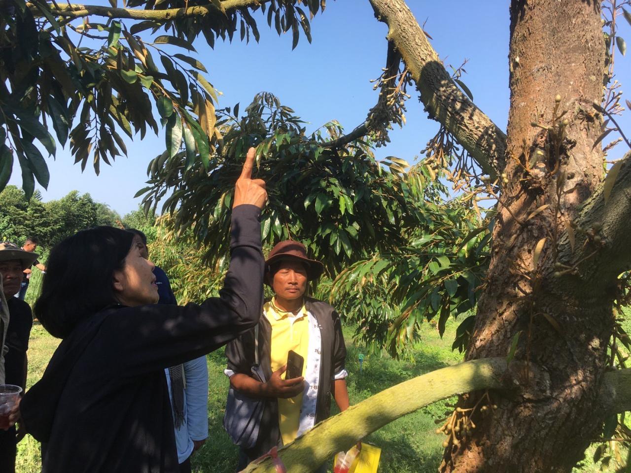 ภาพประกอบที่ 8