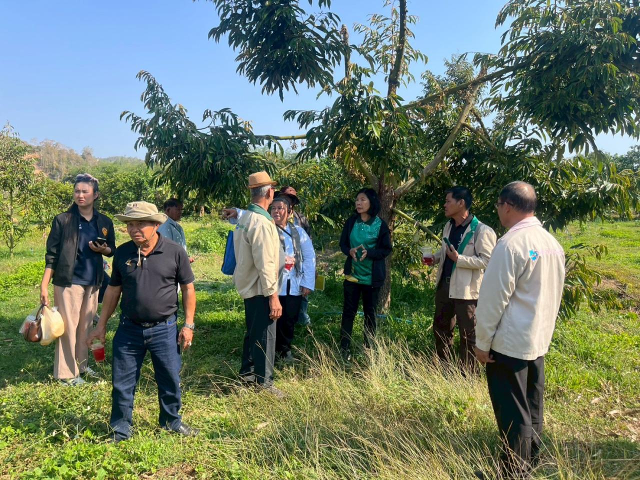 ภาพประกอบที่ 7