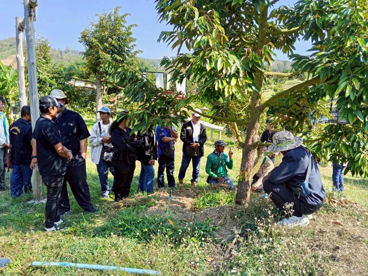 ภาพประกอบที่ 6