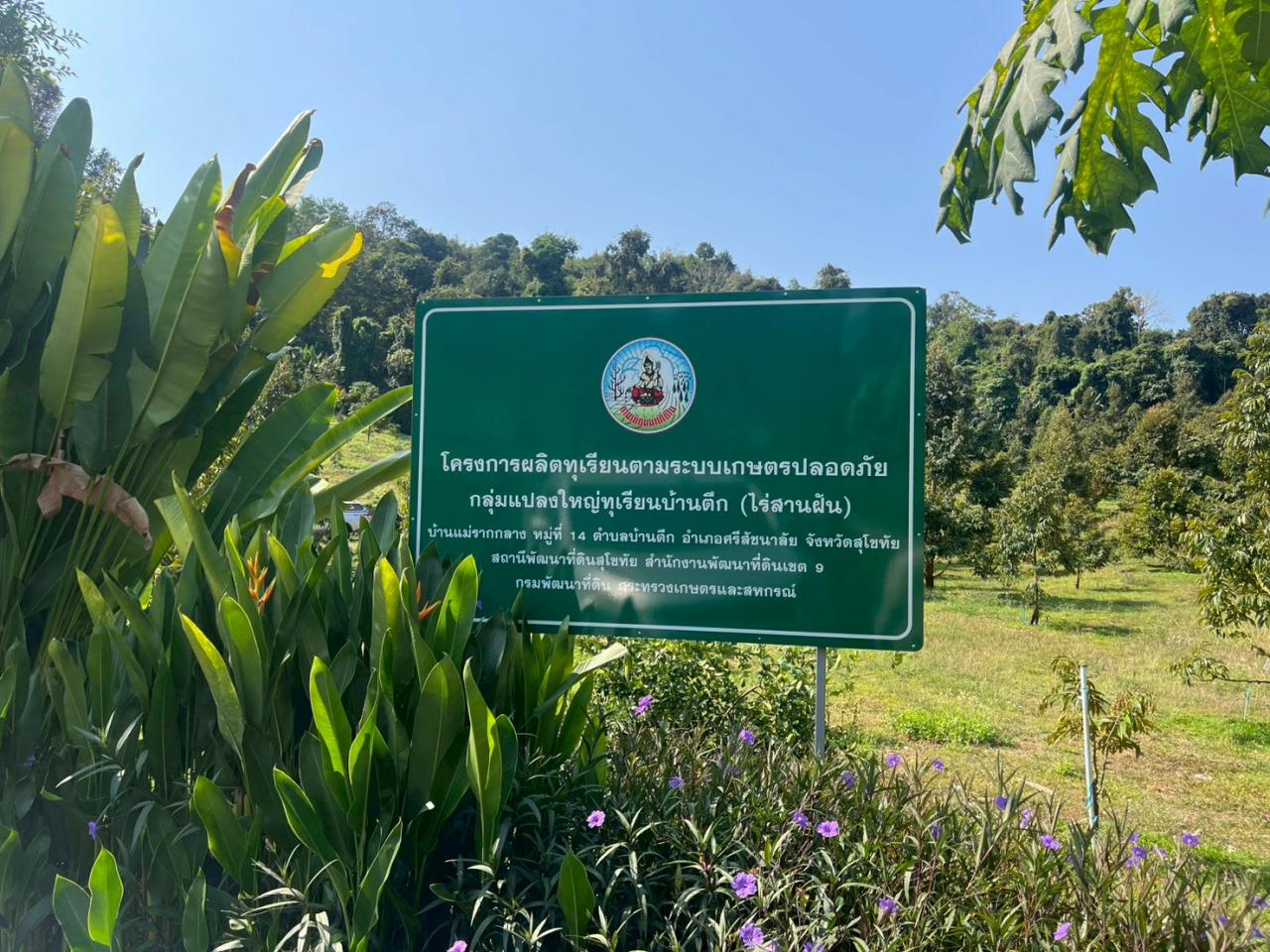 ภาพประกอบที่ 5