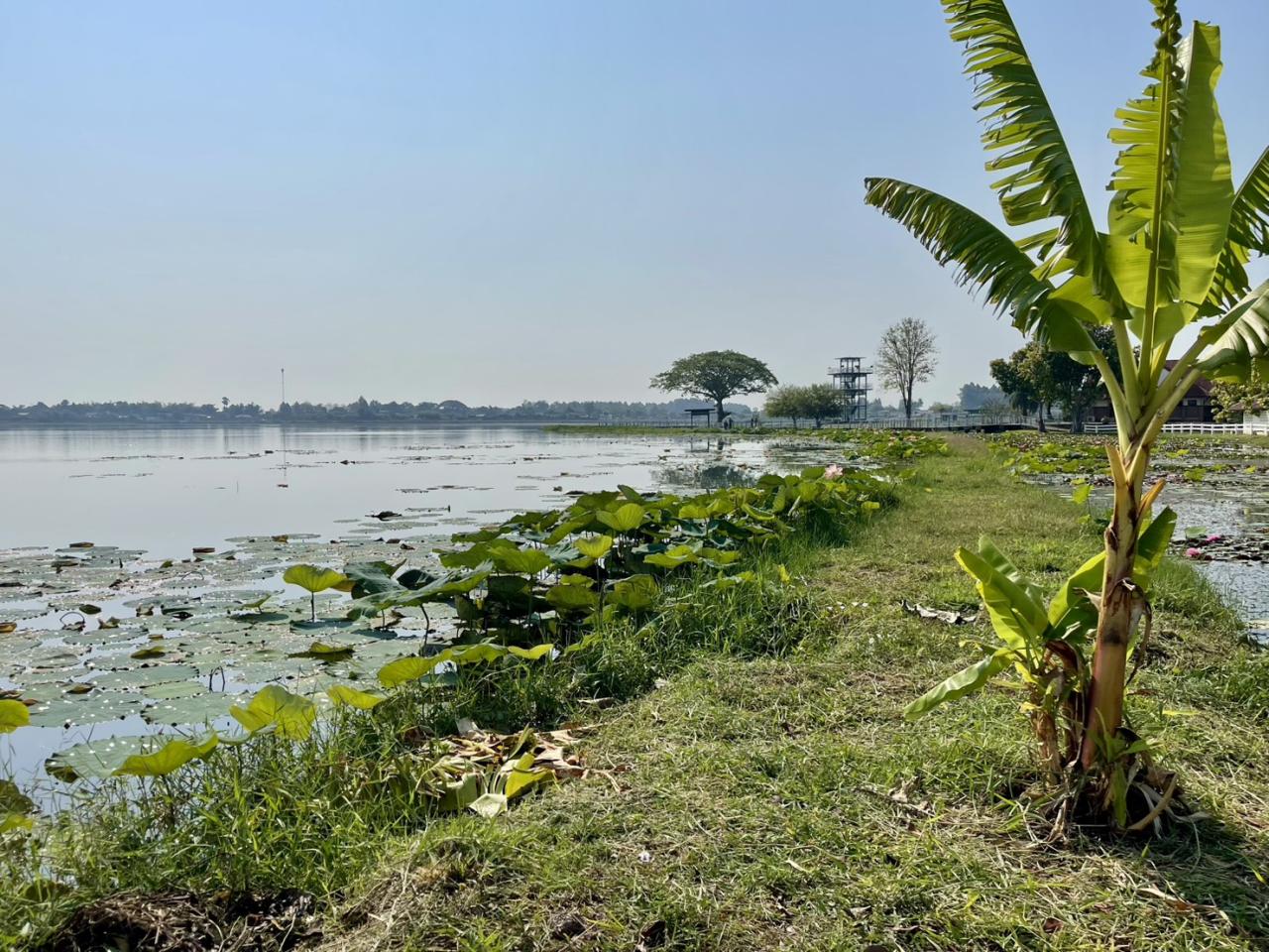 ภาพประกอบที่ 2