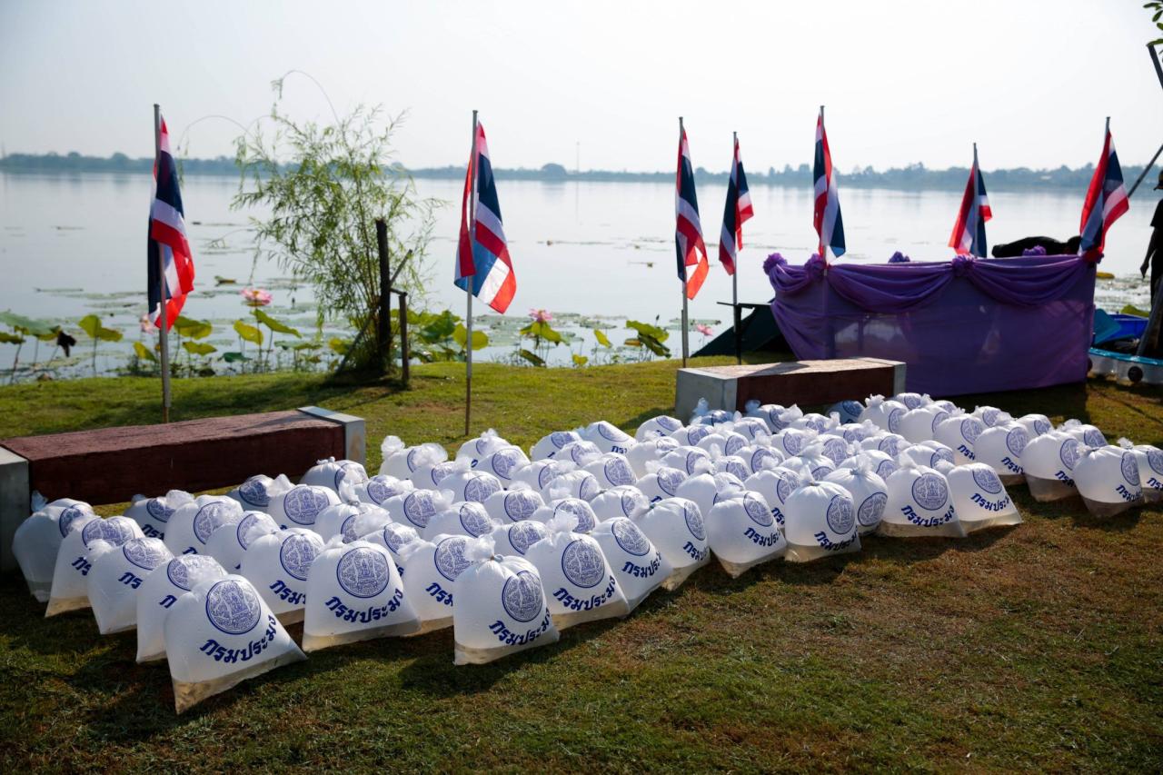 ภาพประกอบที่ 1