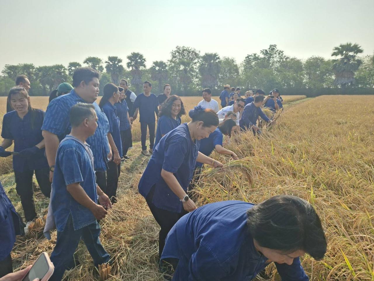 ภาพประกอบที่ 5