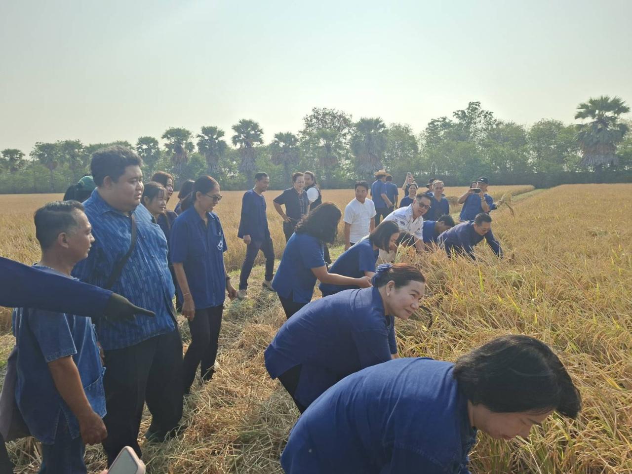 ภาพประกอบที่ 4