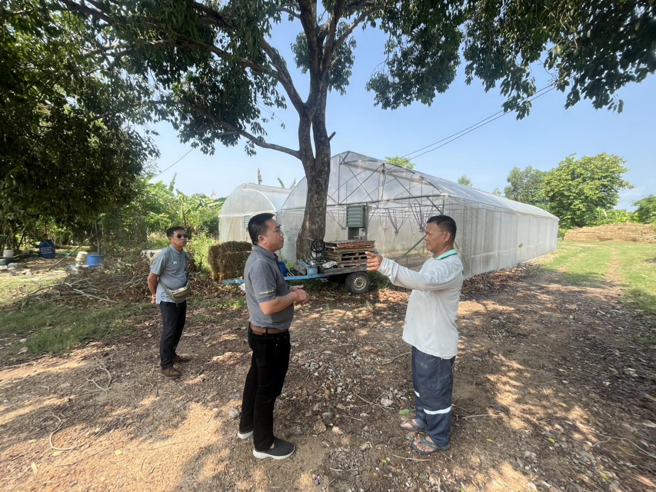 ภาพประกอบที่ 1
