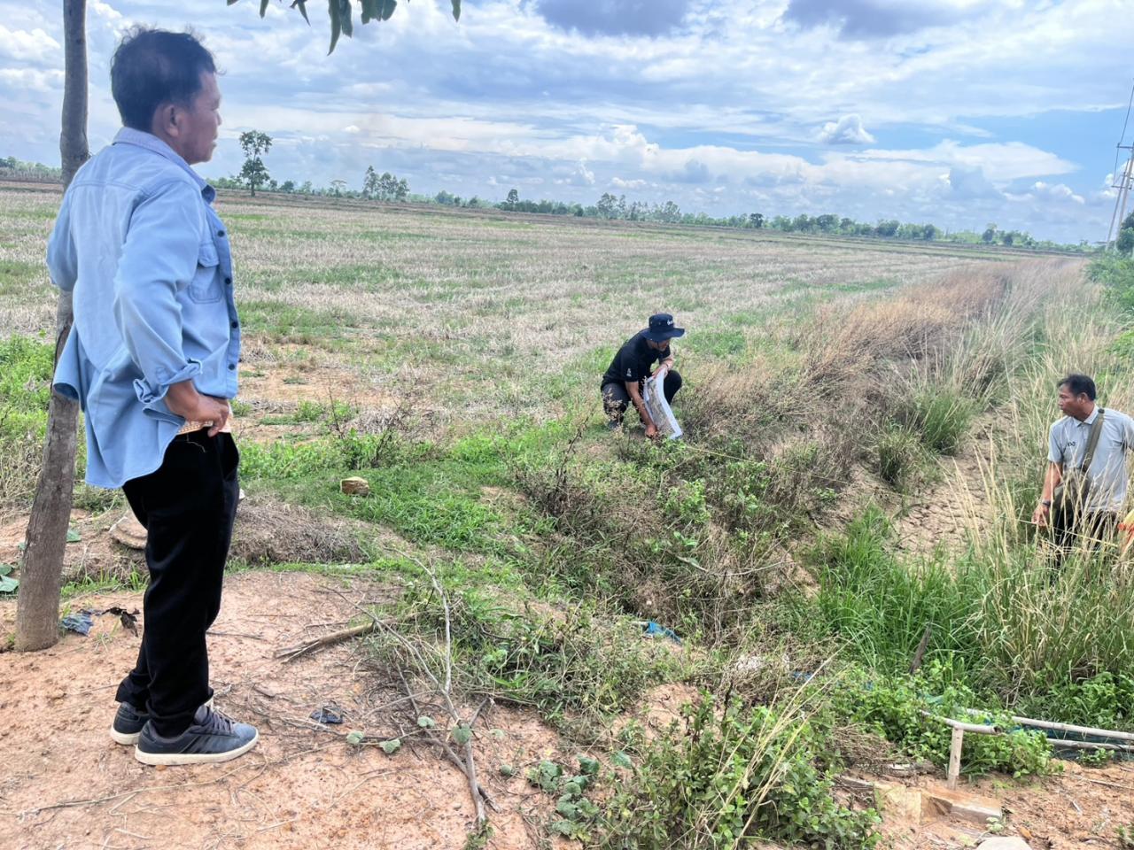 ภาพประกอบที่ 5