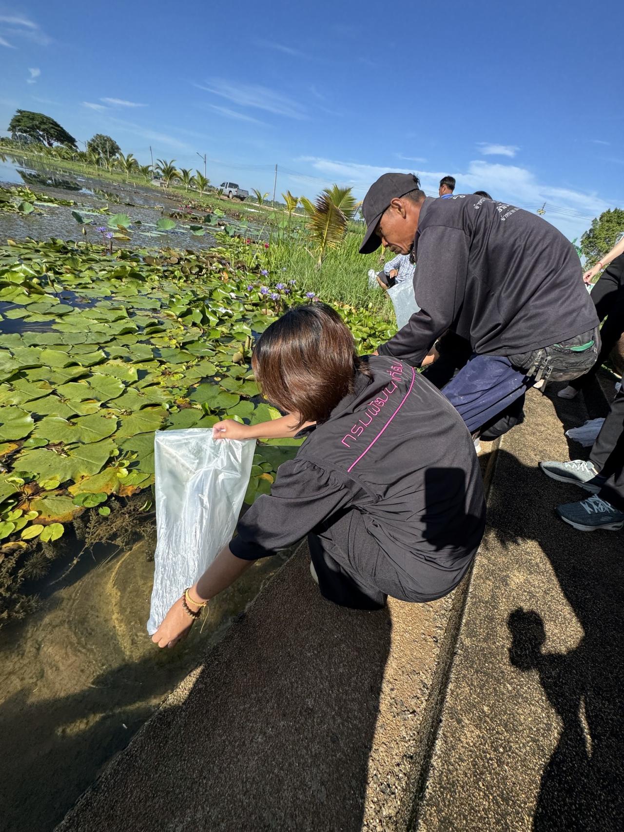ภาพประกอบที่ 4