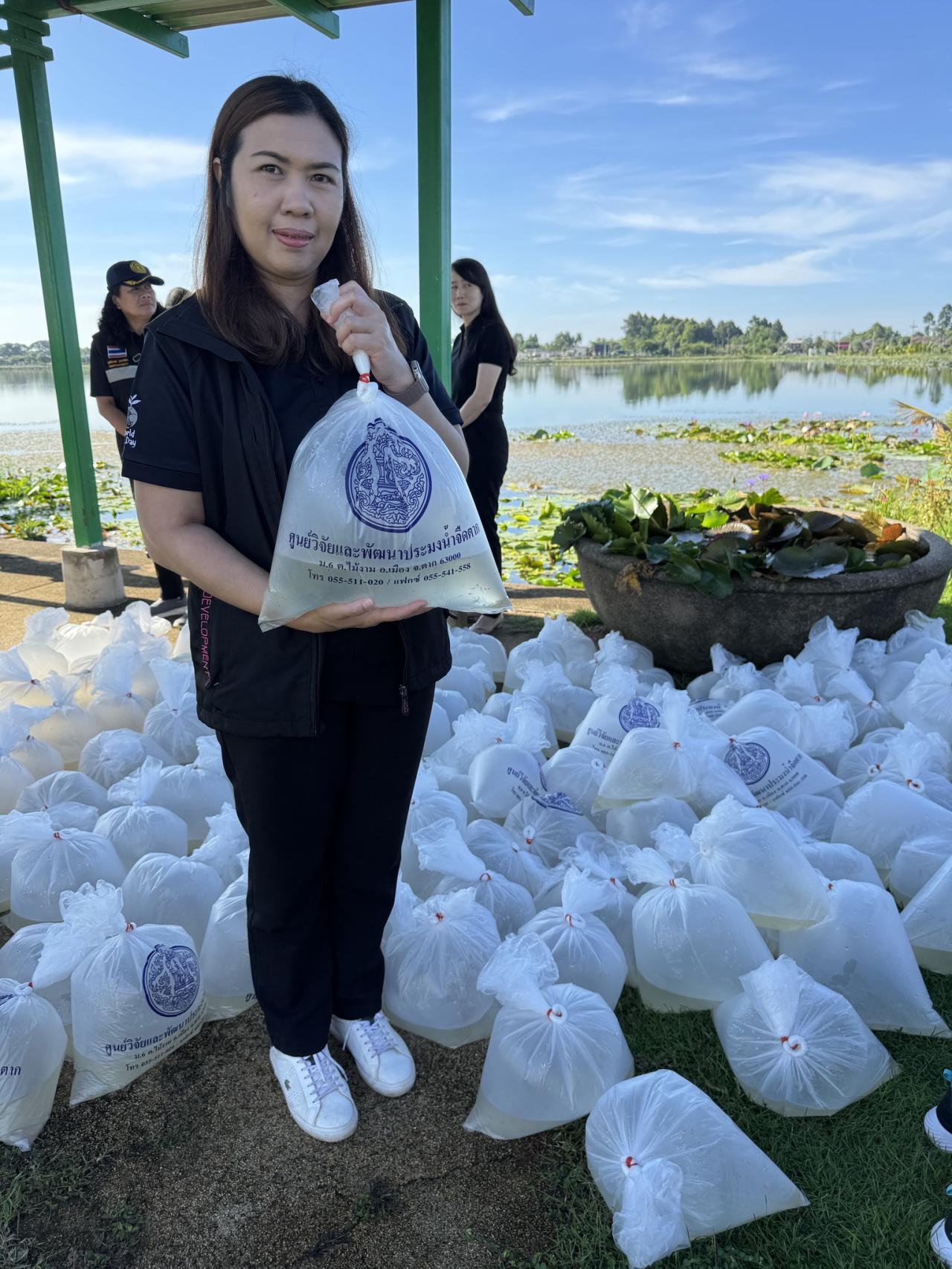 ภาพประกอบที่ 3