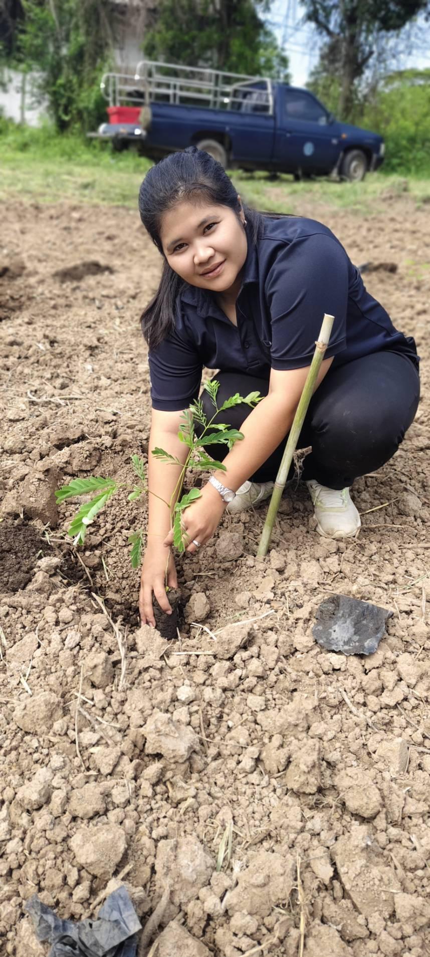 ภาพประกอบที่ 14